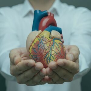Cardiology